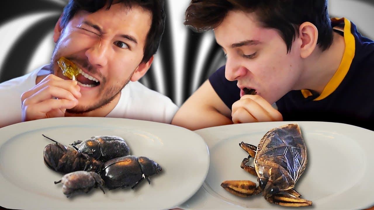051 - We Eat Bugs