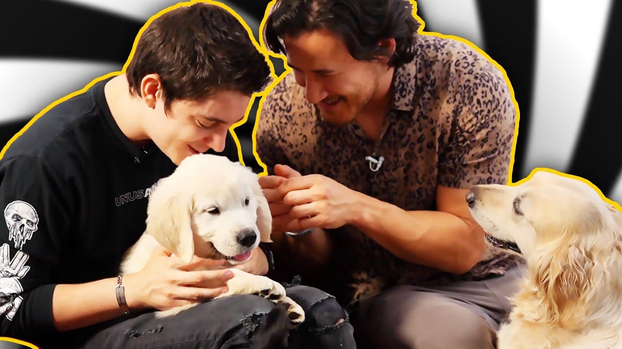 237 - Mark and Ethan Look at a Puppy for 10 Minutes