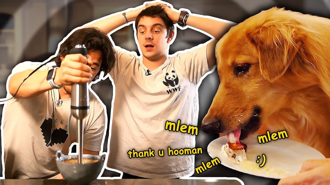 246 - Preparing a 5-Star Meal for Our Youtube Famous Dogs