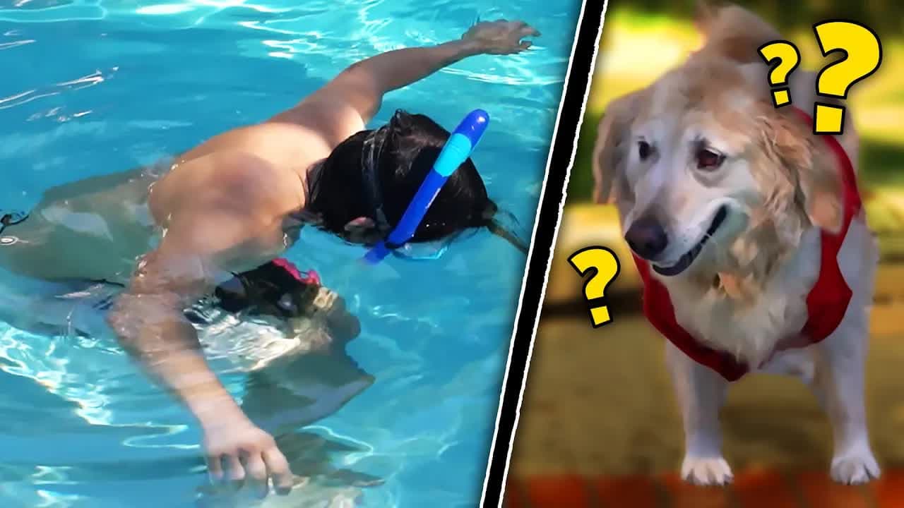 254 - Would Chica Save Us From Drowning